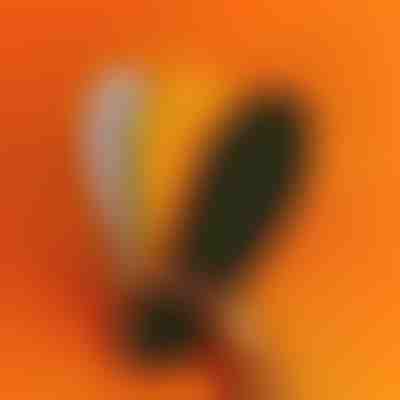 Ortopedyczne wkładki z punktami masującymi | STEPEASE