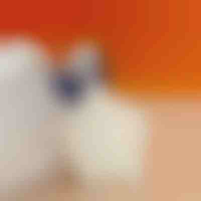 Poduszka na piętę zmniejszająca ból pięty | STEPHEEL